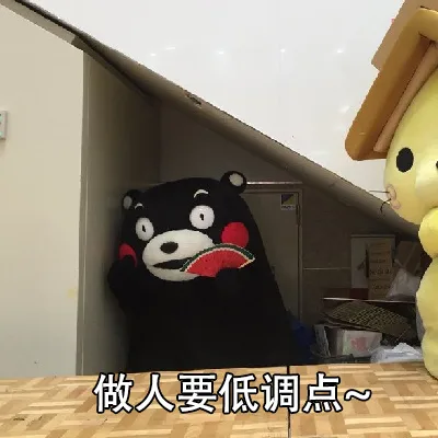 做人要低调~ _熊本熊_装逼_内涵