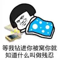 被窝被窝被窝，我的最爱_被窝_床_金馆长_无节操_表情头牌