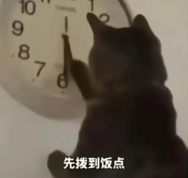 109876先拨到饭点（109876先拨到饭点）