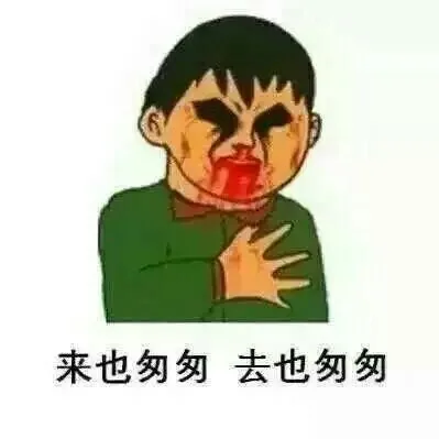 来也匆匆 去也匆匆