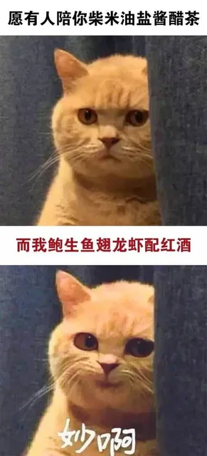 愿有人陪你柴米油盐酱醋茶，而我鲍鱼鱼翅龙虾配红酒，妙啊