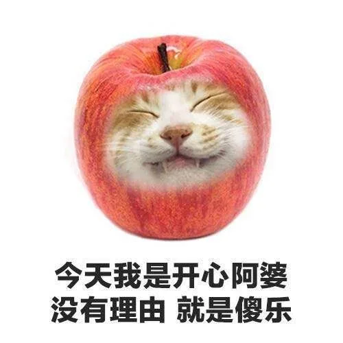 今天我是开心阿婆没有理由就是傻乐（今天我是开心阿婆没有理由就是傻乐）