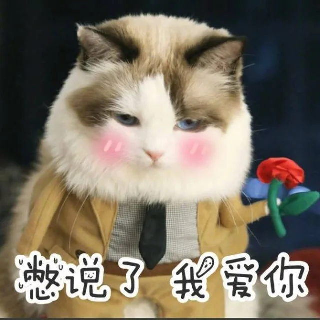 憋说了我爱你（憋说了我爱你）