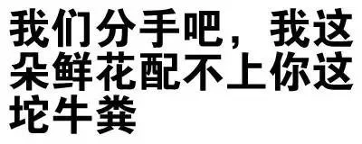 我们分手吧，我这朵鲜花配不上你这坨牛粪（我们分手吧，我这朵鲜花配不上你这坨牛粪）
