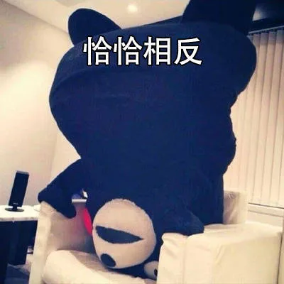恰恰相反