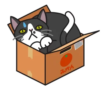 黑猫躲纸盒睡觉（黑猫躲纸盒睡觉）