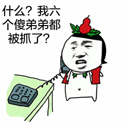 什么？我六个傻弟弟都被抓了？