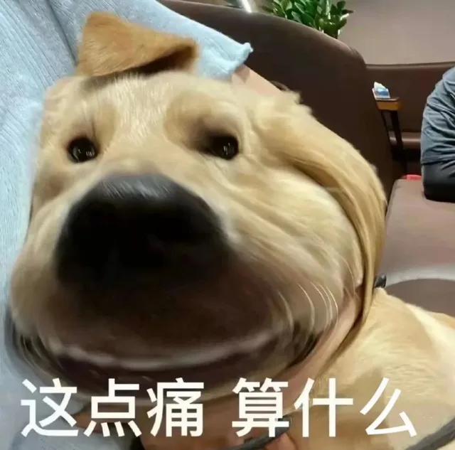 这点痛算什么（这点痛算什么）
