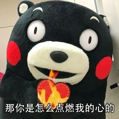 那你是怎么点燃我的心的