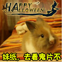 妹纸，去看鬼片不