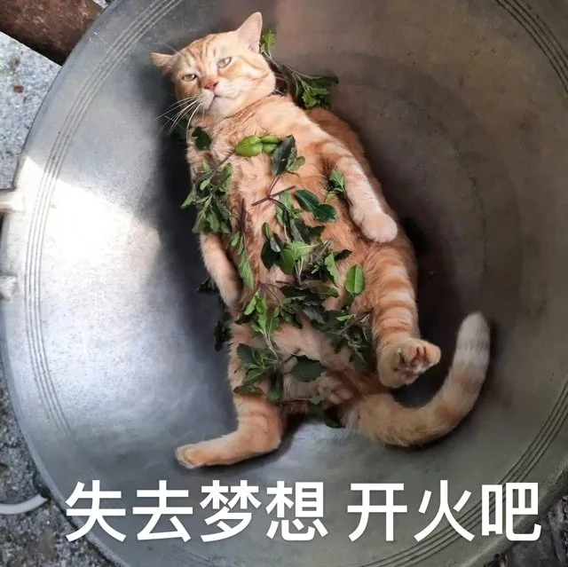 失去梦想开火吧（失去梦想开火吧）