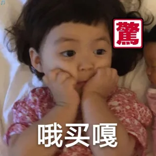 惊呆了 哦买噶（罗熙）