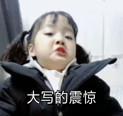 大写的震惊(权律二)