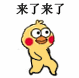 来了来了（小黄鸡表情包）（来了来了（小黄鸡表情包））
