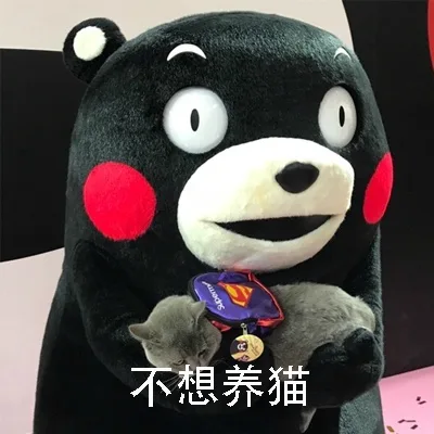 你想艾特谁？ _熊本熊