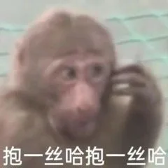 抱一丝哈抱一丝哈(不好意思哈)（抱一丝哈抱一丝哈(不好意思哈)）