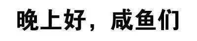 晚上好，咸鱼们（晚上好，咸鱼们）