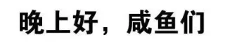 晚上好，咸鱼们