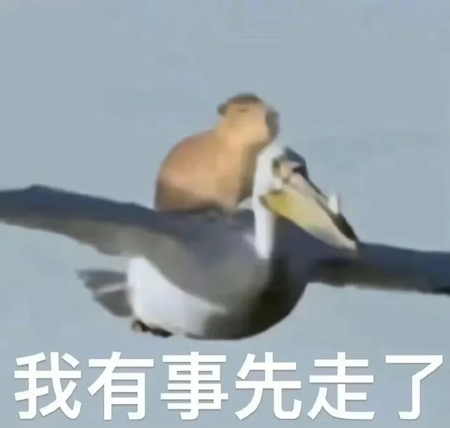我有事先走了(水豚表情包)（我有事先走了(水豚表情包)）