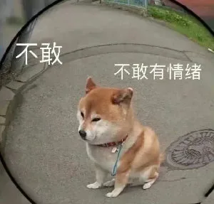 不敢不敢有情绪（不敢不敢有情绪）
