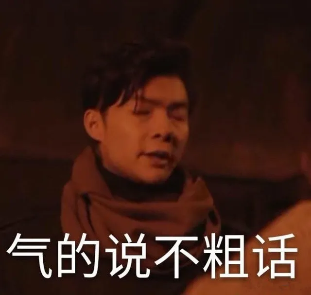 气的说不粗话（气的说不粗话）