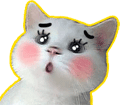 猫咪卖萌