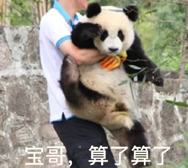 宝哥，算了算了（宝哥，算了算了）