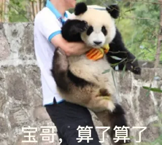 宝哥，算了算了