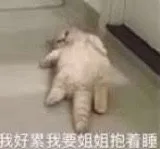 我好累我要姐姐抱着睡（我好累我要姐姐抱着睡）