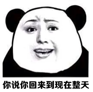 你说你回来到现在整天都在干嘛？_表情头牌_金馆长_搞笑_无节操_熊猫人表情包