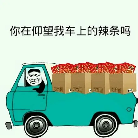 你在仰望我车上的辣条吗？