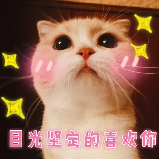 目光坚定的喜欢你