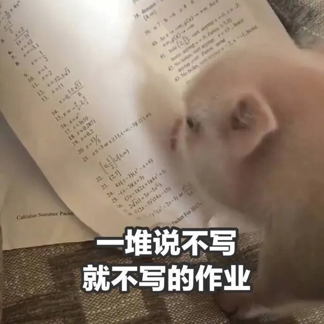 一堆说不写就不写的作业