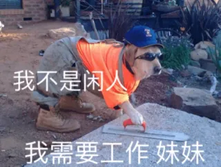 沙雕汪星人表情包