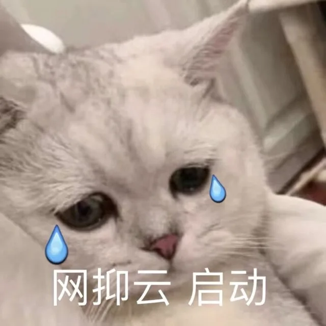 网抑云启动（网抑云启动）