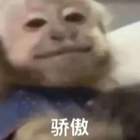 骄傲（骄傲）