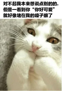 猫猫表情包：你今天也很可爱哦表情包