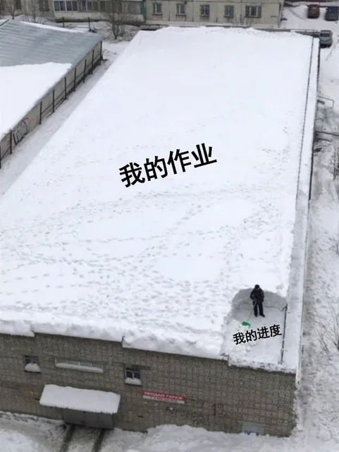我的作业 vs 我的进度（雪地）