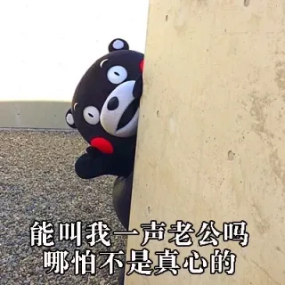 能叫我一声老婆吗？哪怕不是真心的 _熊本熊_不是真心_怼人表情表情包