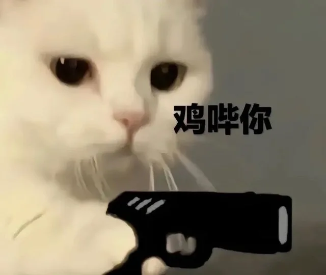 鸡哔你（鸡哔你）