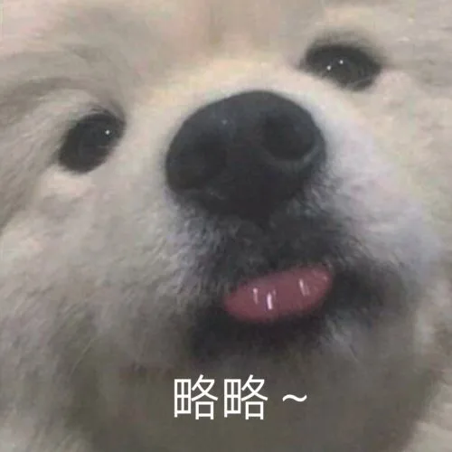 略略~（汪星人表情包）（略略~（汪星人表情包））
