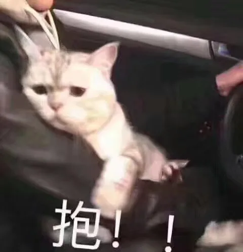 抱（抱）