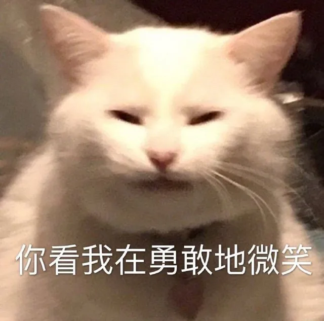 你看我在勇敢地微笑（你看我在勇敢地微笑）