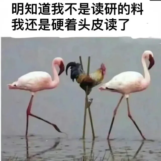 明知道我不是读研的料我还是硬着头皮读了（明知道我不是读研的料我还是硬着头皮读了）