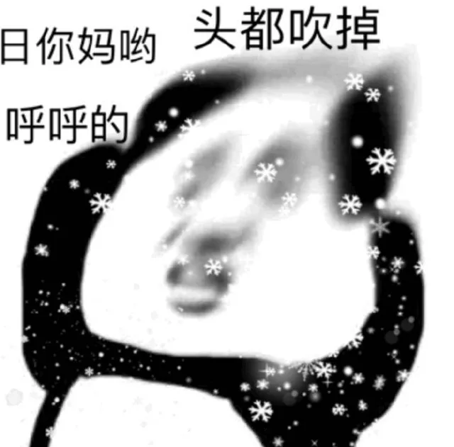 日你妈哟，呼呼的，头都吹掉。好冷啊