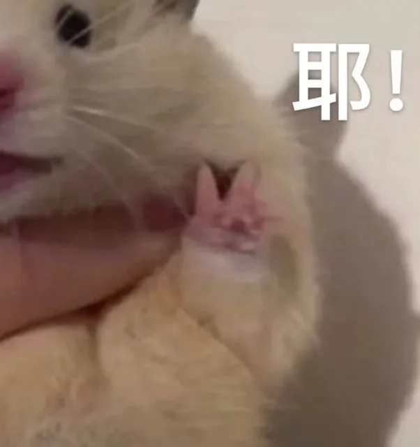 耶!（耶!）