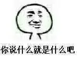 你说什么就是什么吧！