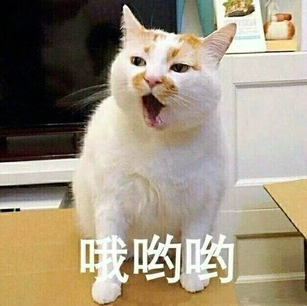 哦哟哟（哦哟哟）