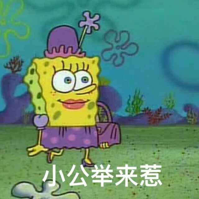 小公举来惹