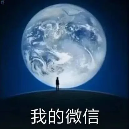 太真实了哈哈哈哈哈哈哈哈哈